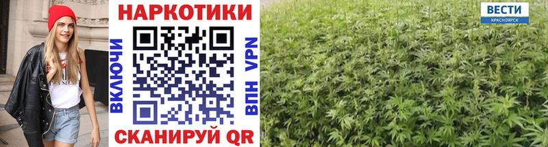 Где продают наркотики Петушки Каннабис КОКАИН ГАШИШ Кодеин гидра зеркало СОЛЬ Мефедрон