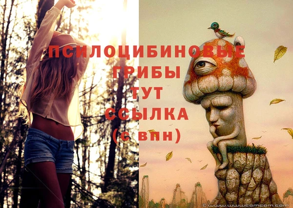 MDMA Касимов
