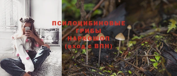 молекула духа Алексин