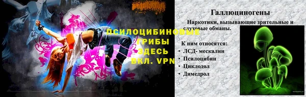 молекула духа Алексин