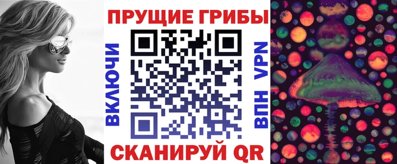Галлюциногенные грибы Psilocybe  магазин продажи   ссылка на мегу сайт  Петушки 