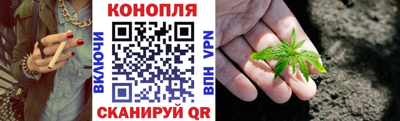 Марихуана VHQ цены наркотик Петушки